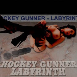 Hockey Gunner-2 (labyrinth) - mobile strip game