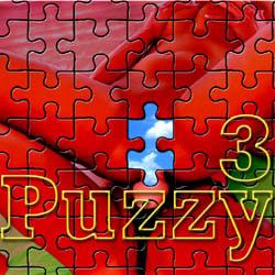 Puzzy-3 adult mobile game
