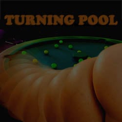 Turning Pool adult game