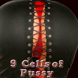 9 Cells of Pussy strip mobile game