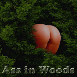 Ass in Woods - mobile adult game