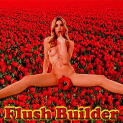 Flush Builder adult game