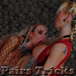 Pairs Tricks adult game