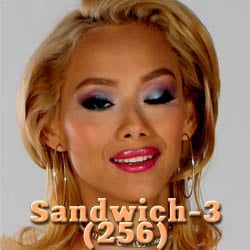 Sandwich-3(256) adult game