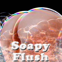 Soapy Flush - mobile adult game