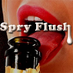 Spry Flush - mobile adult game