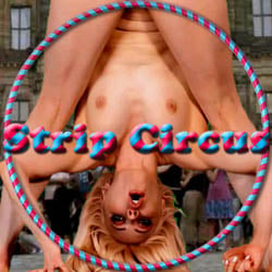 Strip Circus strip mobile game